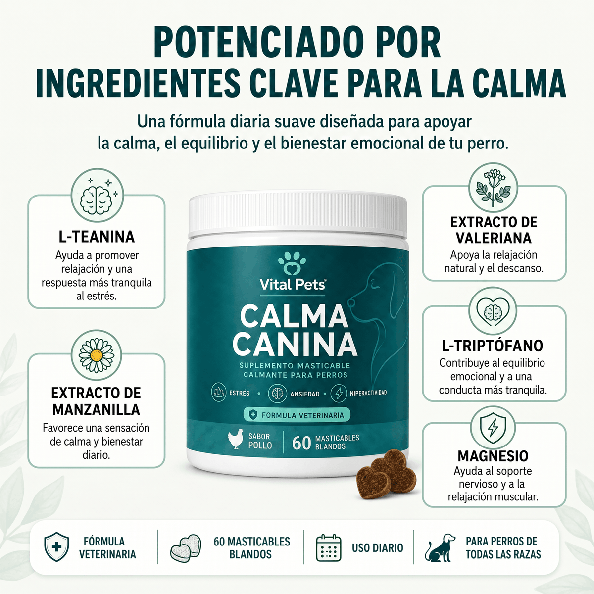 CALMA CANINA | Apoyo para Ansiedad, Estrés e Hiperactividad